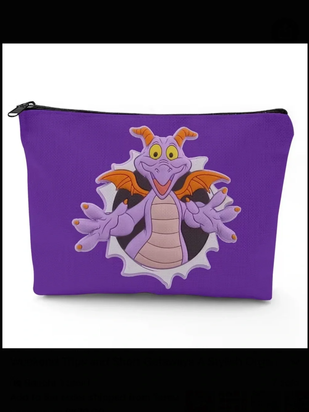 Figment Makeup Bag